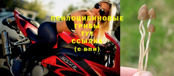 экстази Алексин