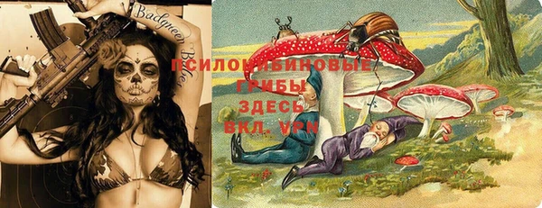 экстази Алексин