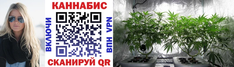 Бошки Шишки THC 21%  Пустошка 